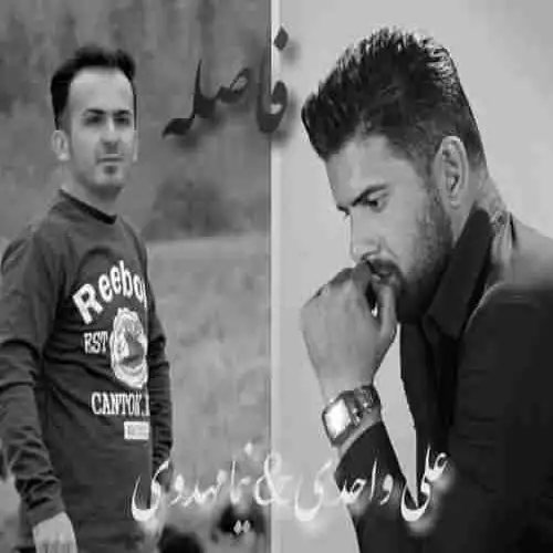 فاصله